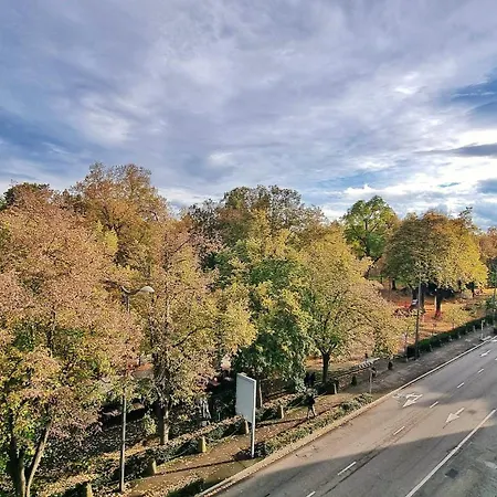 L'observatoire - Centre - Vue Sur Parc Colmar