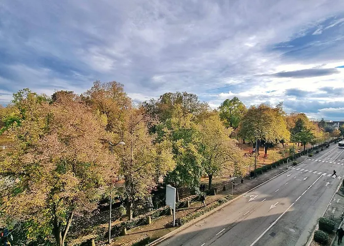 L'observatoire - Centre - Vue Sur Parc Colmar