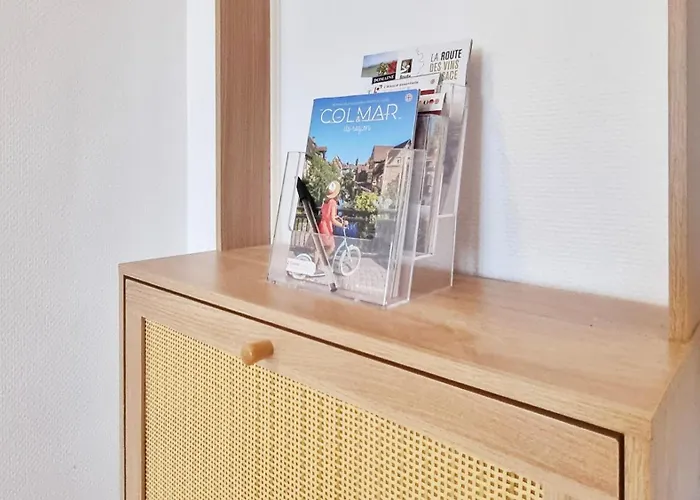 L'observatoire - Centre - Vue Sur Parc Appartement Colmar